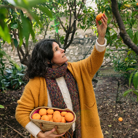Braunhaarige Frau in orangener Jacke pflückt Obst vom Bäumen