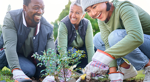 Drei Personen arbeiten zusammen im Garten und Pflanzen Blumen ein