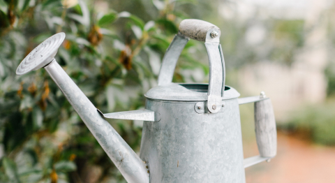Gießkanne aus Blech vor einem grünen Strauch