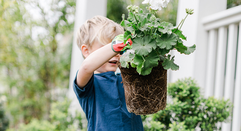 Blonder Junge arbeitet im Garten und pflanzt eine Blume ein