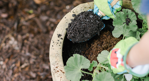 Nahaufnahme von einer Person, die einen Blumentopf mit Erde befüllt