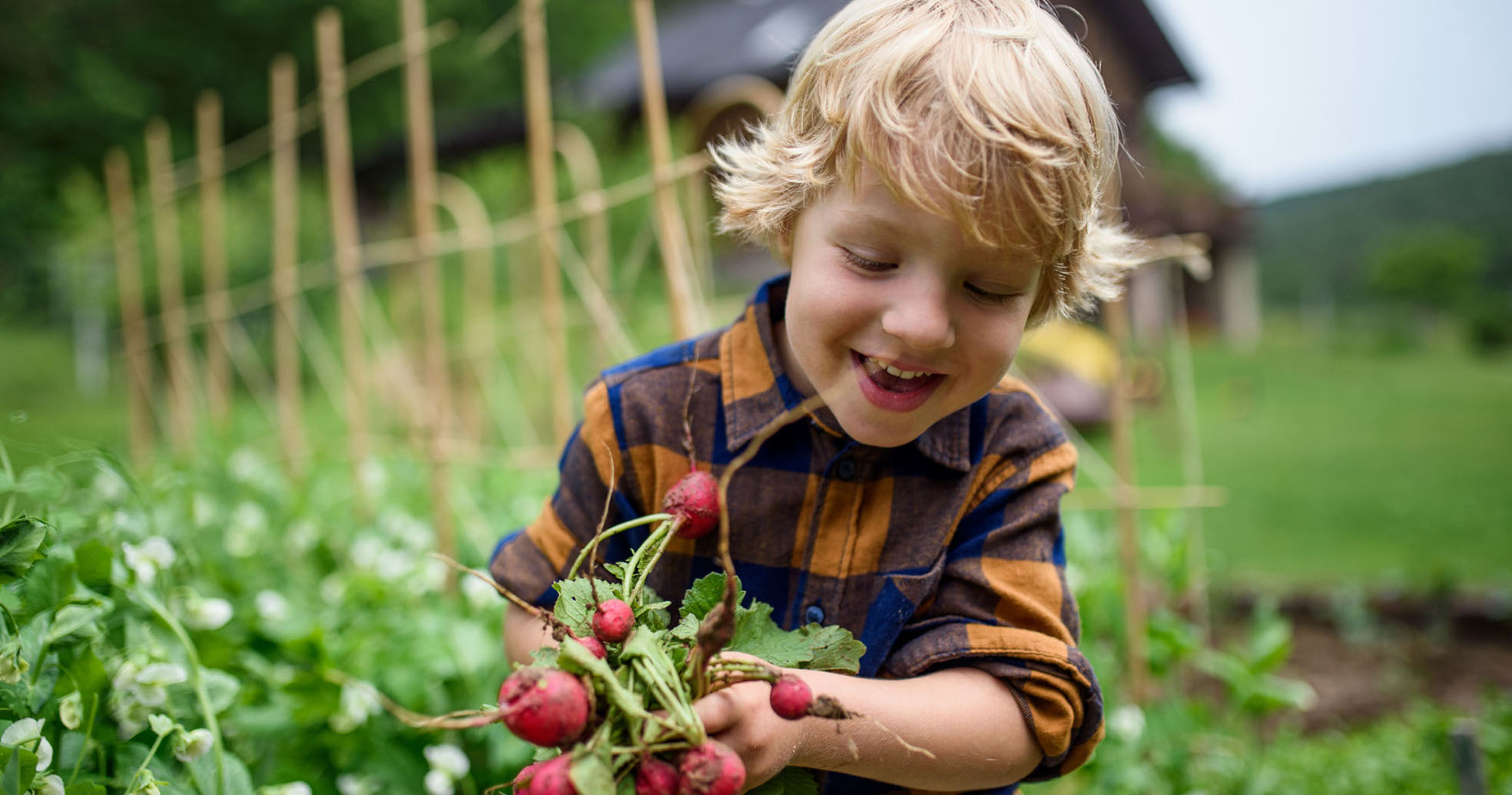 Das Bild zeigt ein Kind im Freien, das in einem Garten frische Radieschen mit Blättern in den Händen hält. Im Hintergrund sind grüne Pflanzen, Gartenstäbe und unscharfe Natur zu sehen. Das Kind trägt ein kariertes Hemd in Braun und Blau.