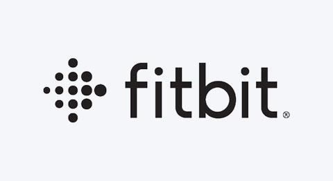 Logo Fitbit Pay schwarzer und blauer Schriftzug auf hellgrauem Hintergrund
