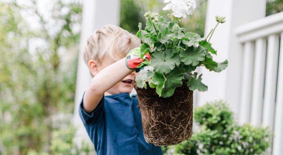 Kind pflanzt Pflanze im Garten